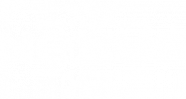 NEXUS